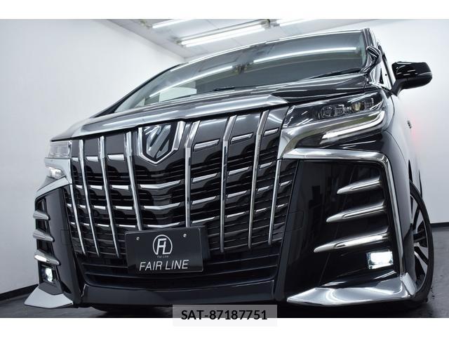 Toyota ALPHARD 2019-06 8728297-10