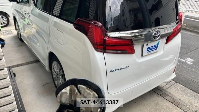Toyota ALPHARD 2020-07 8729548-12