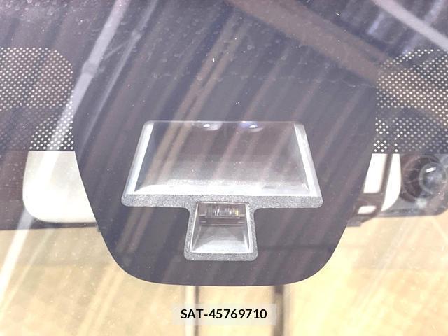 Suzuki LAPIN 2015-11 8727873-2