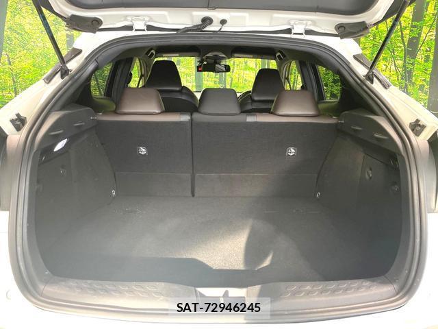 Toyota C-HR 2017-03 8729693-9