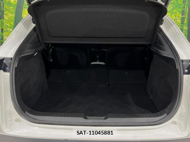 Mazda CX-30 2021-11 8727002-9