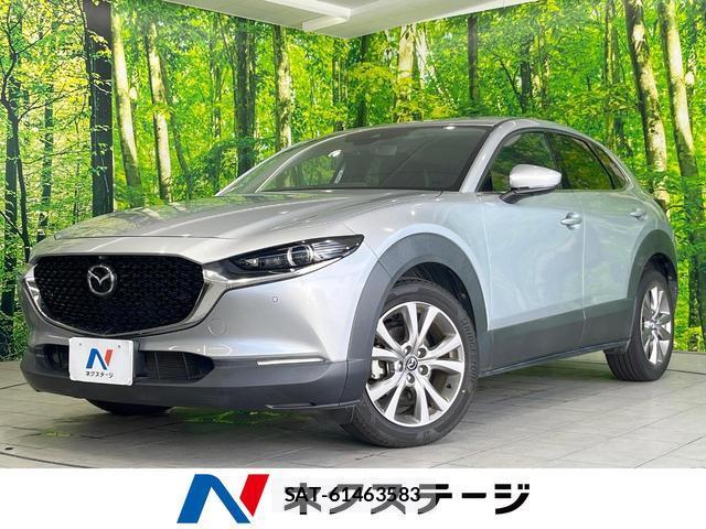 Mazda CX-30 2019-12 8727101-0