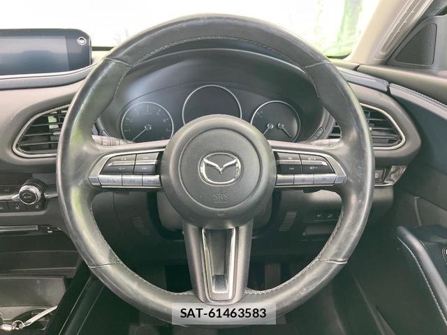 Mazda CX-30 2019-12 8727101-10