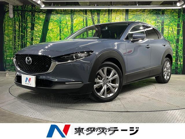 Mazda CX-30 2019-11 8727806-0