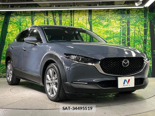 Mazda CX-30 2019-11 8727806-15