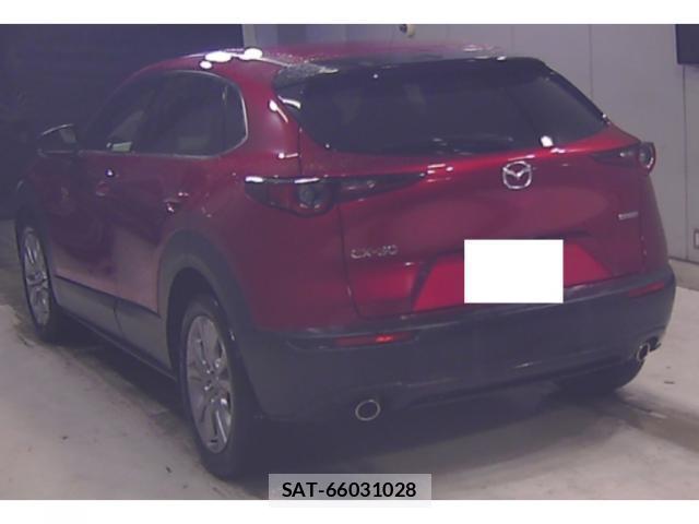 Mazda CX-30 2021-12 8729297-1