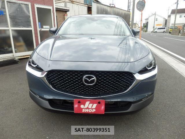 Mazda CX-30 2019-10 8730576-6