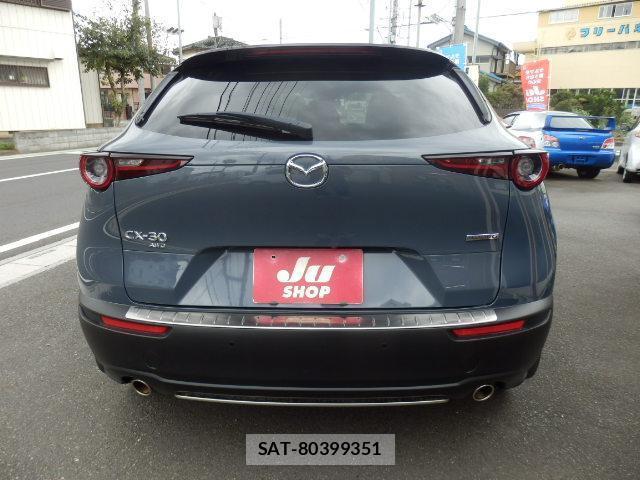 Mazda CX-30 2019-10 8730576-8