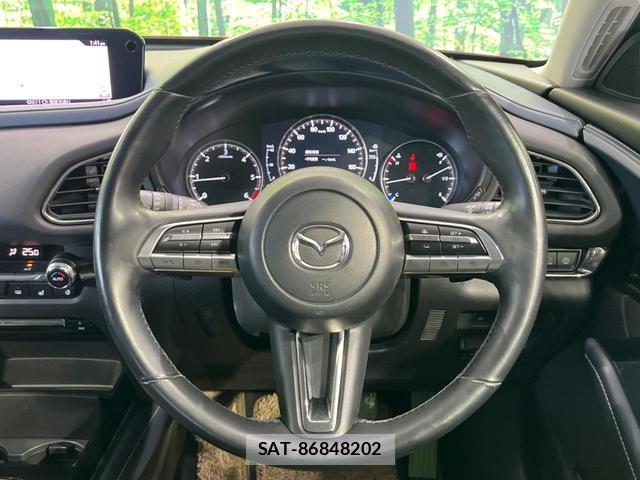 Mazda CX-30 2020-06 8730681-10