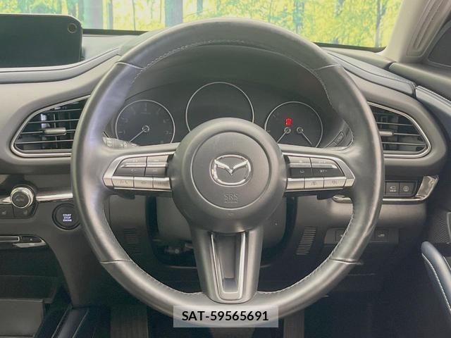 Mazda CX-30 2020-03 8730802-10