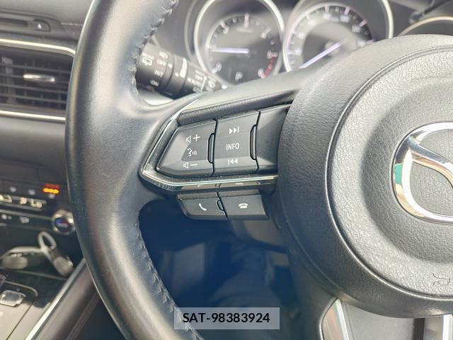 Mazda CX-8 2019-09 8725813-14