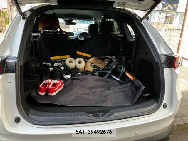 Mazda CX-8 2017-12 8727319-8