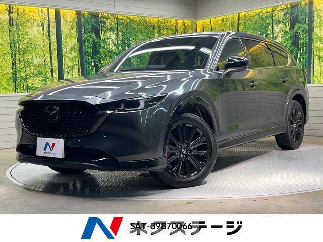 Mazda CX-8 2023-04 8730834-0