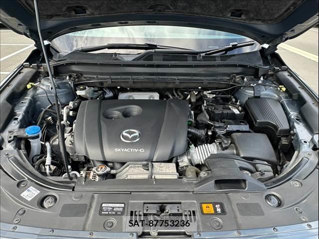 Mazda CX-8 2022-06 8731354-13