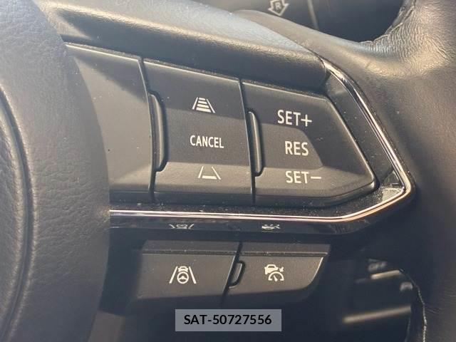 Mazda CX-8 2023-03 8731368-6