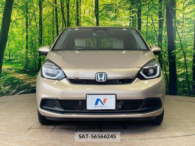 Honda FIT 2023-09 8730046-14