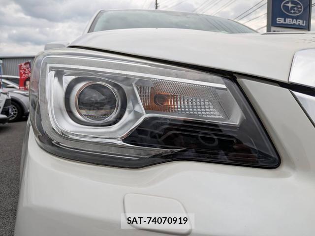 Subaru FORESTER 2017-01 8728761-9
