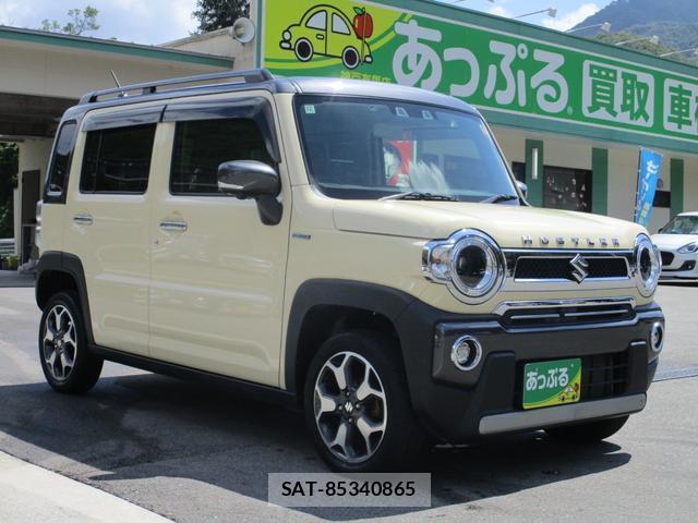 Suzuki HUSTLER 2022-12 8731145-5