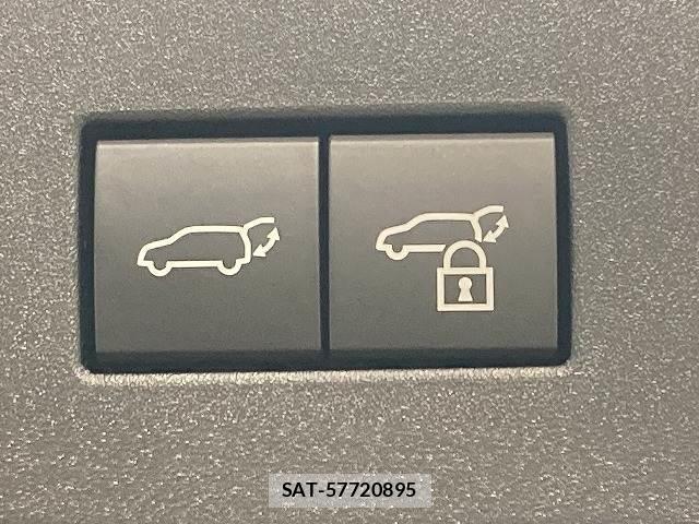 Toyota Land Cruiser 250 2026-01 8728151-8