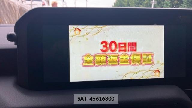 Toyota Land Cruiser 250 2024-09 8729560-4