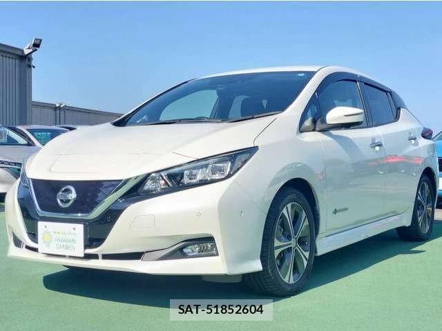 Nissan LEAF 2018-01 8730116-0