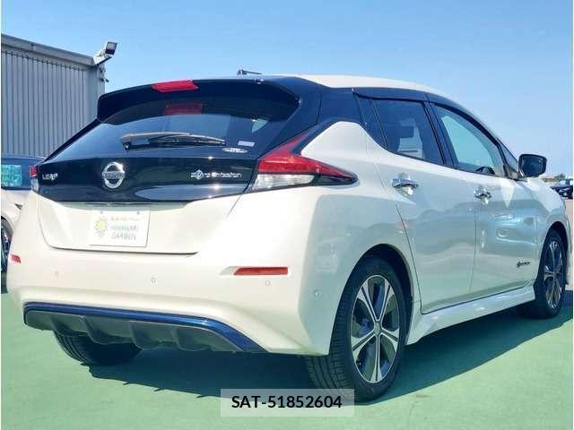 Nissan LEAF 2018-01 8730116-1