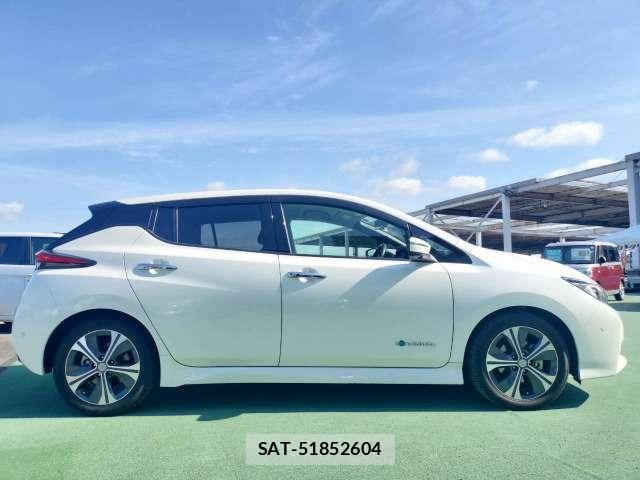 Nissan LEAF 2018-01 8730116-17