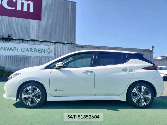 Nissan LEAF 2018-01 8730116-18