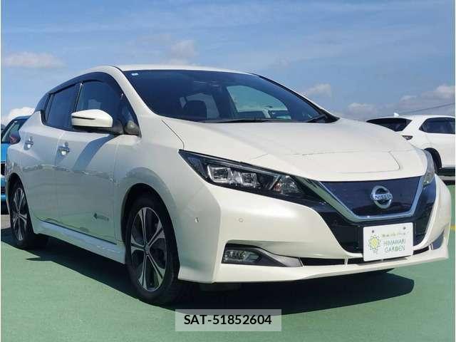 Nissan LEAF 2018-01 8730116-2