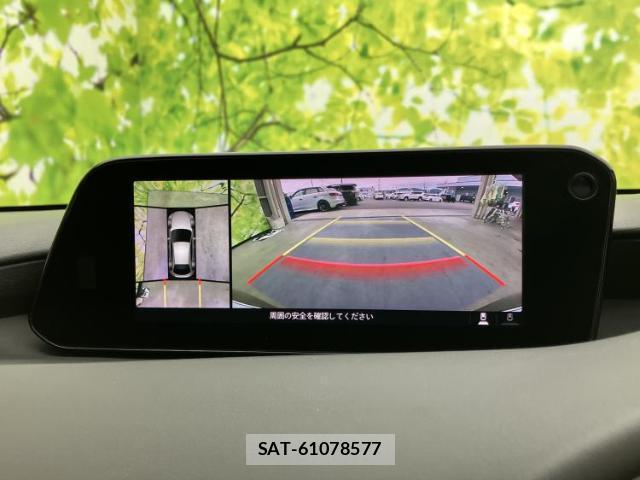 Mazda MAZDA3 2019-07 8730214-11