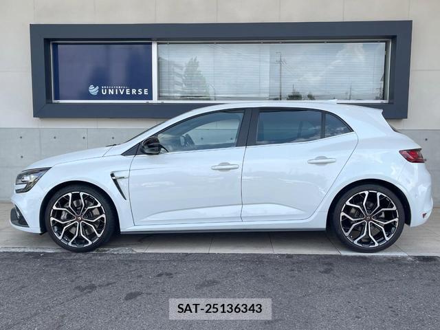Renault MEGANE 2019-07 8731058-19