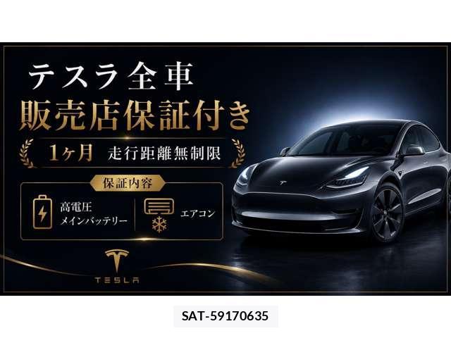 Tesla MODEL 3 2021-04 8731294-1