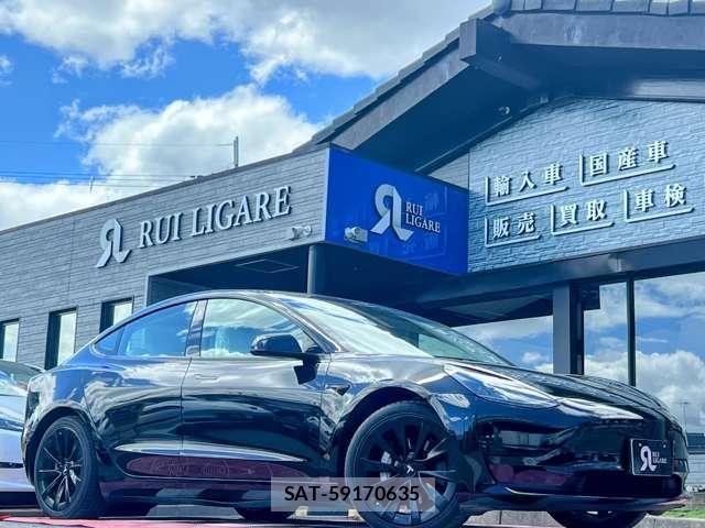 Tesla MODEL 3 2021-04 8731294-4