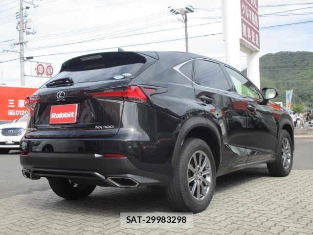 Lexus NX 2018-04 8725831-13