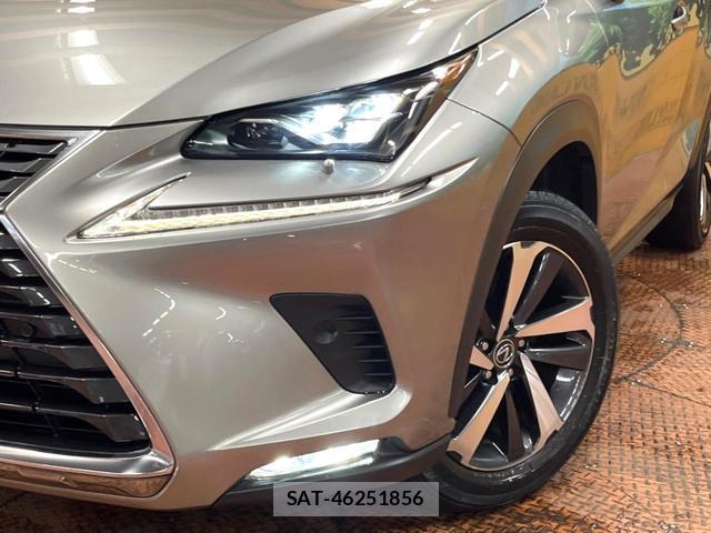 Lexus NX 2018-05 8726351-12
