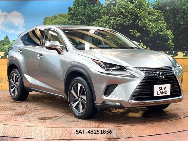 Lexus NX 2018-05 8726351-16