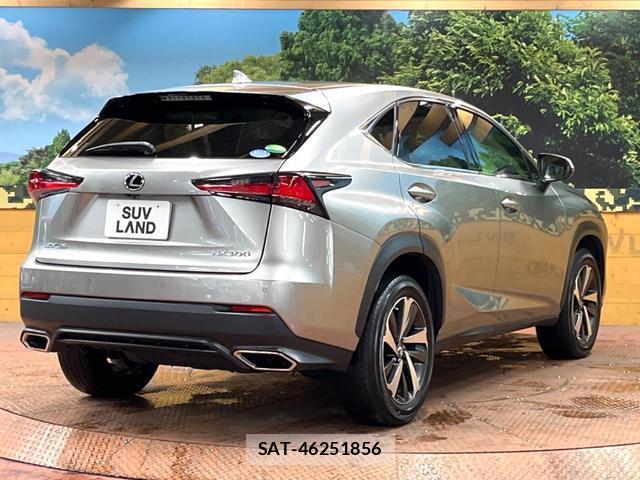 Lexus NX 2018-05 8726351-17
