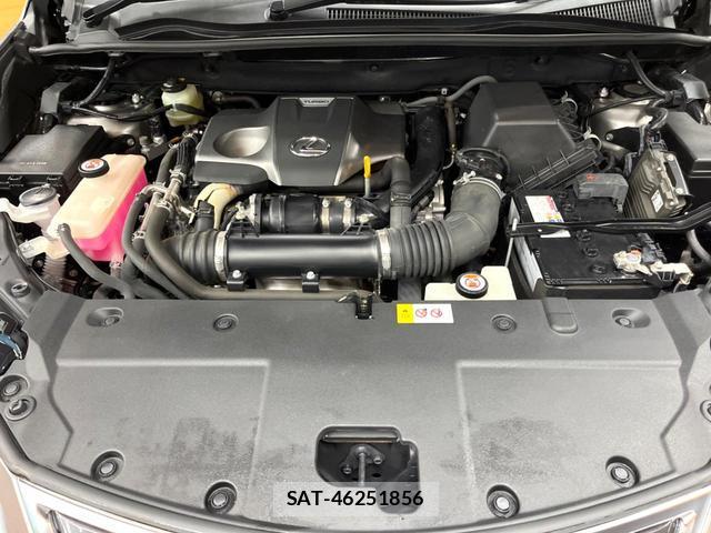 Lexus NX 2018-05 8726351-18