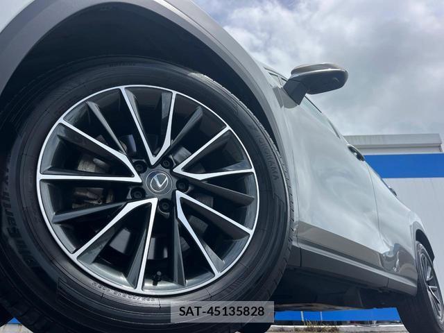 Lexus NX 2025-04 8727222-12