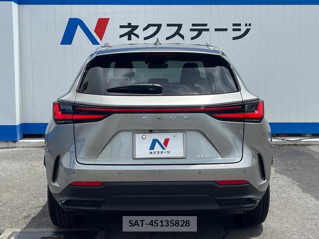 Lexus NX 2025-04 8727222-15