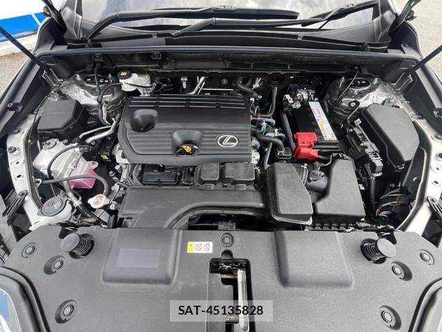 Lexus NX 2025-04 8727222-18