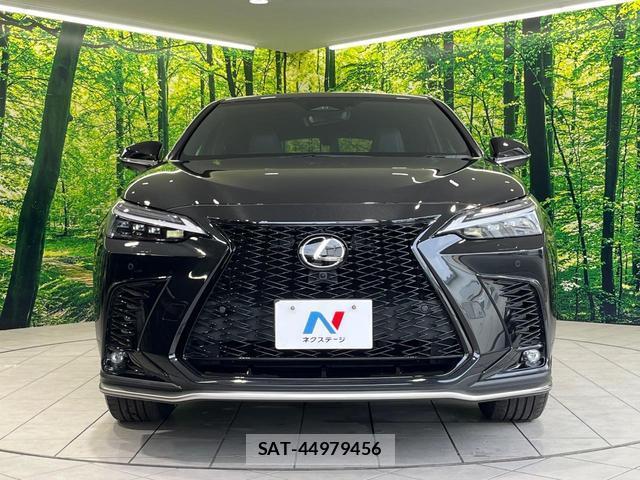 Lexus NX 2023-07 8727264-13