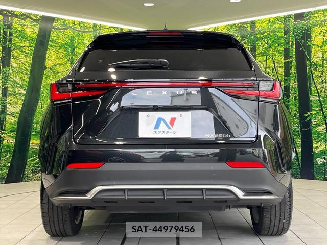 Lexus NX 2023-07 8727264-14