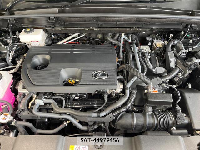 Lexus NX 2023-07 8727264-17