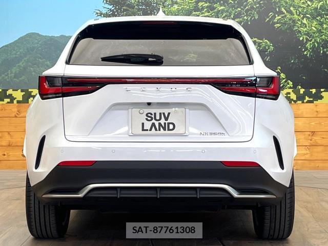 Lexus NX 2023-05 8727758-12