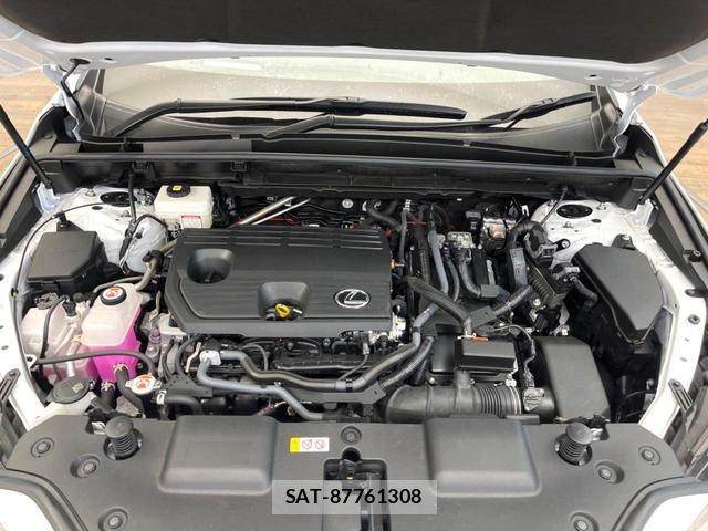 Lexus NX 2023-05 8727758-14