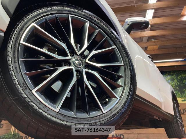 Lexus NX 2023-09 8728069-12