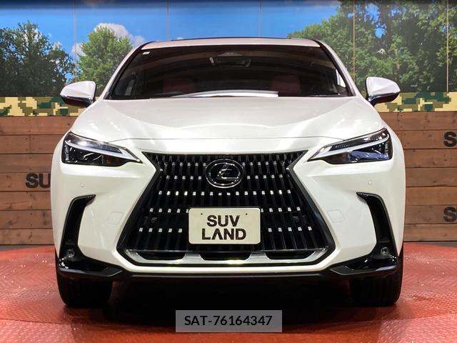 Lexus NX 2023-09 8728069-13