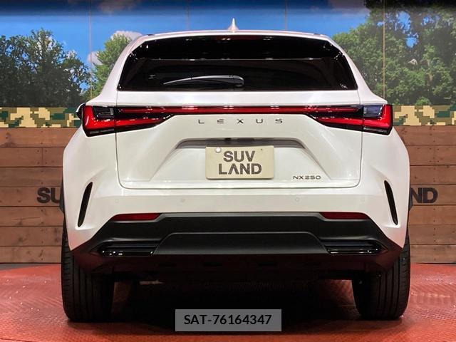 Lexus NX 2023-09 8728069-14