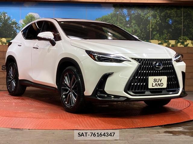 Lexus NX 2023-09 8728069-15